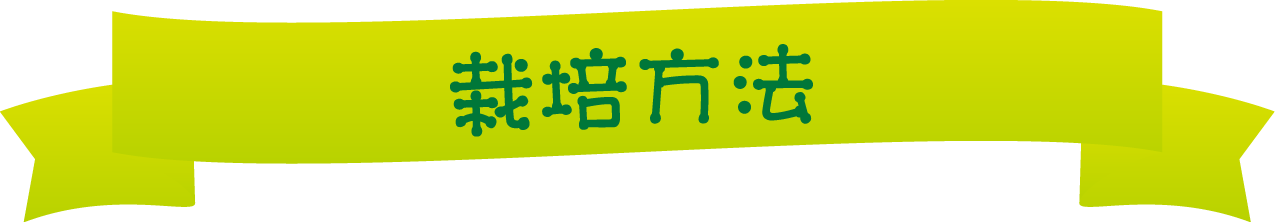 桔梗ヶ原