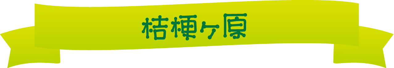 桔梗ヶ原